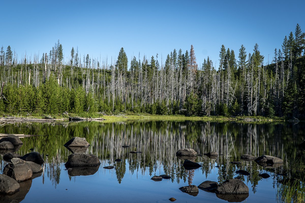 Jack Lake